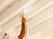 Commercial Building Painting Colorado